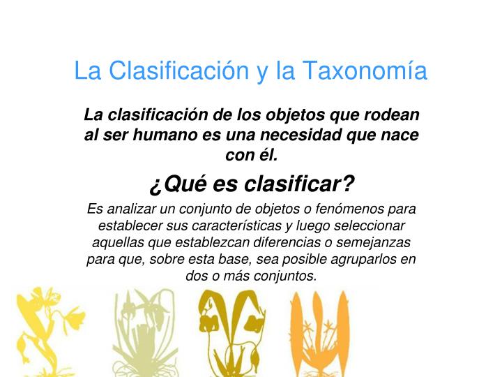 la clasificaci n y la taxonom a