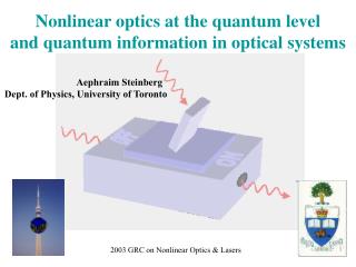 Nonlinear optics at the quantum level and quantum information in optical systems