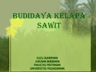 Budidaya KELAPA SAWIT