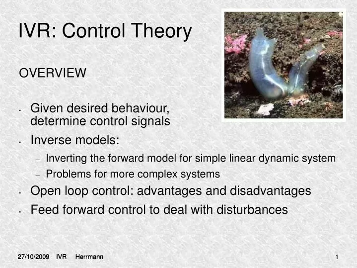 ivr control theory