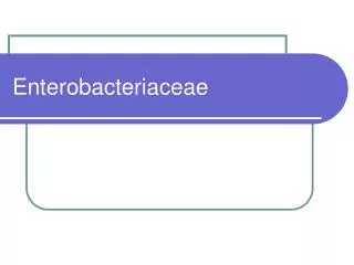 Enterobacteriaceae