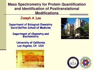 Mass Spectrometry for Protein Quantification and Identification of Posttranslational Modifications