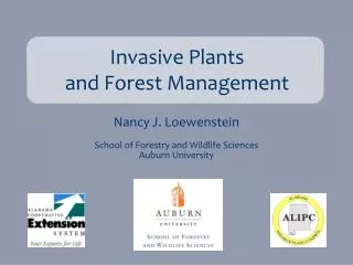 Invasive Plants and Forest Management