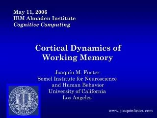 Cortical Dynamics of Working Memory