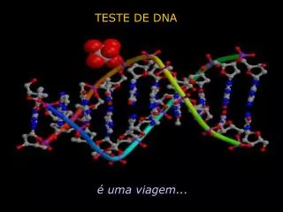 TESTE DE DNA