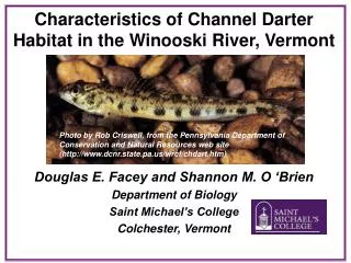Characteristics of Channel Darter Habitat in the Winooski River, Vermont