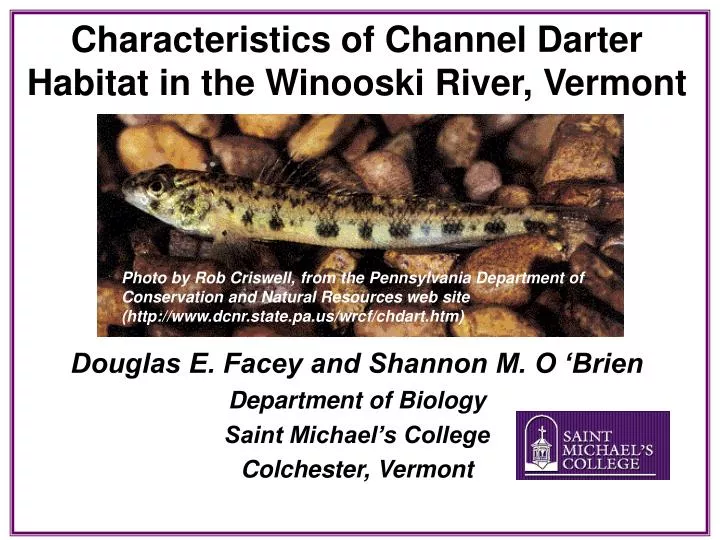 characteristics of channel darter habitat in the winooski river vermont
