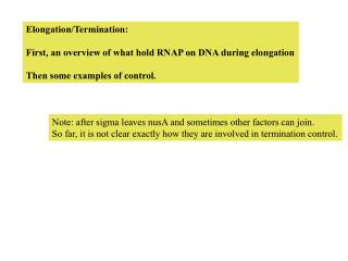 Elongation/Termination: First, an overview of what hold RNAP on DNA during elongation Then some examples of control.