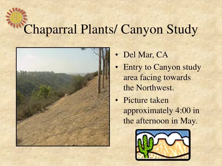 chaparral plants canyon study