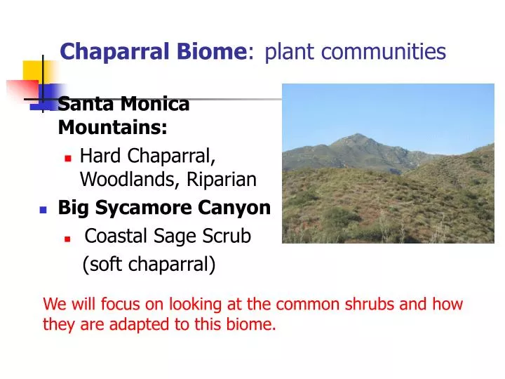 chaparral biome plant communities
