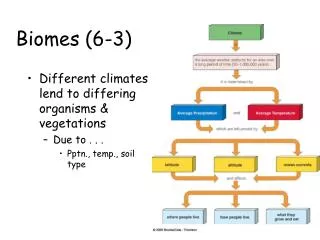 Biomes (6-3)