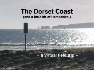 The Dorset Coast (and a little bit of Hampshire!)