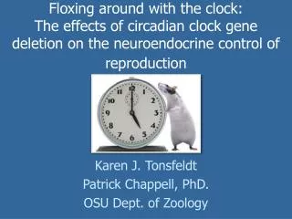 Floxing around with the clock: The effects of circadian clock gene deletion on the neuroendocrine control of reproducti