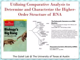 Utilizing Comparative Analysis to Determine and Characterize the Higher-Order Structure of RNA
