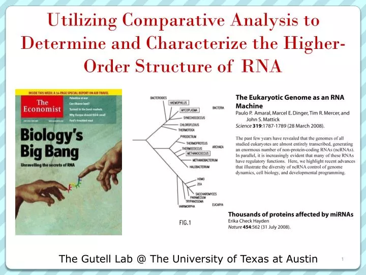 utilizing comparative analysis to determine and characterize the higher order structure of rna