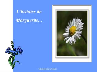 L'histoire de Marguerite...