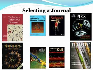Selecting a Journal