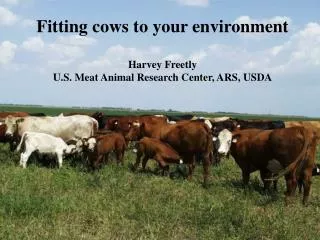 Fitting cows to your environment Harvey Freetly U.S. Meat Animal Research Center, ARS, USDA