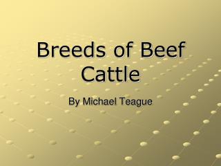 Breeds of Beef Cattle