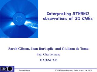Interpreting STEREO observations of 3D CMEs