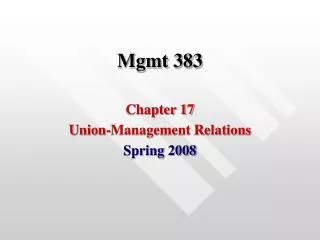 Mgmt 383