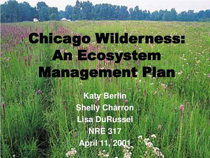 chicago wilderness an ecosystem management plan