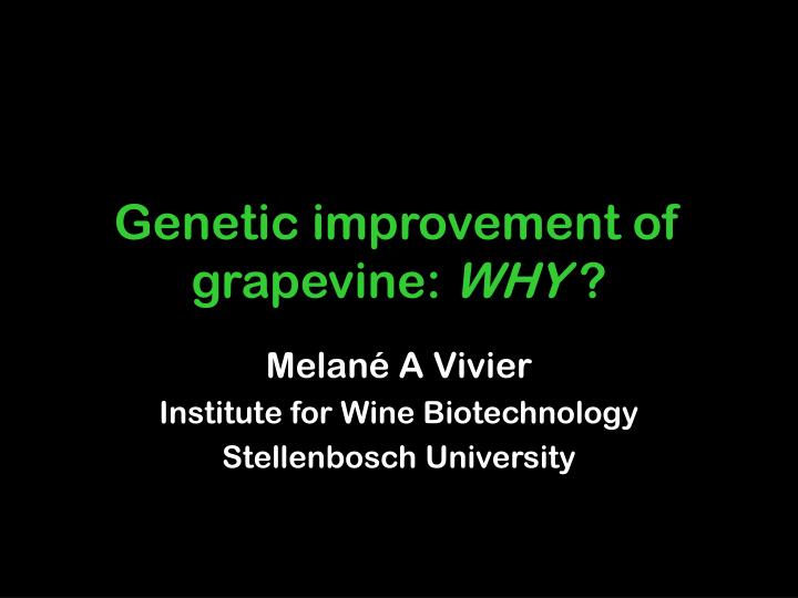 genetic improvement of grapevine why