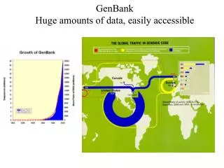 GenBank Huge amounts of data, easily accessible