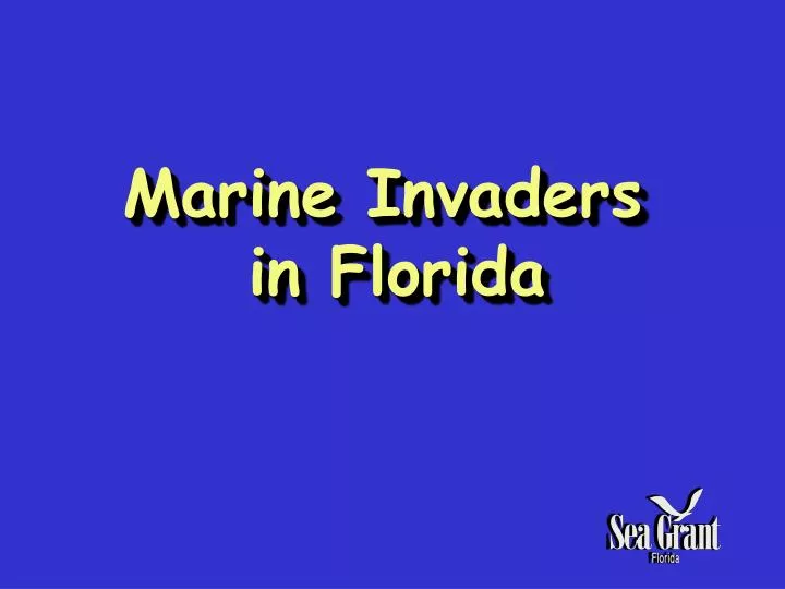 marine invaders in florida