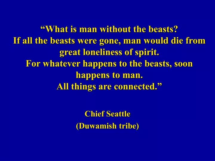 chief seattle duwamish tribe