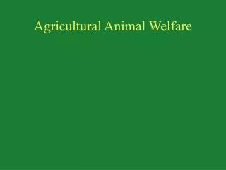Agricultural Animal Welfare