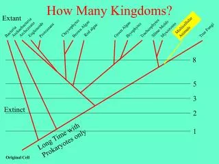 How Many Kingdoms?