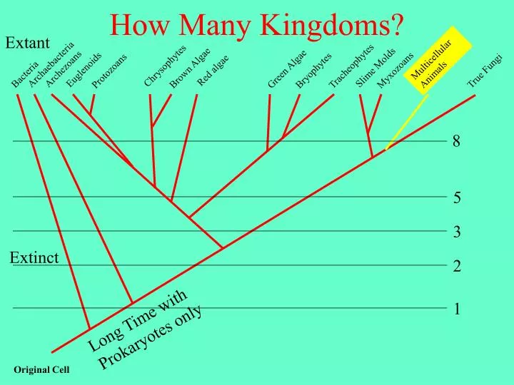 how many kingdoms