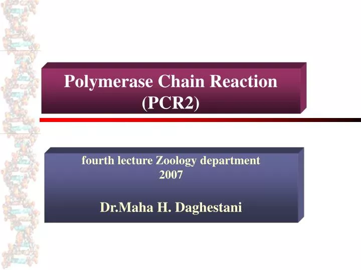 polymerase chain reaction pcr2