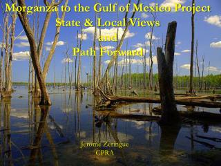 Morganza to the Gulf of Mexico Project State &amp; Local Views and Path Forward
