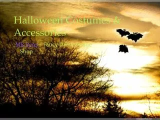 Halloween Costumes & Accessories
