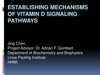 Establishing Mechanisms of Vitamin D Signaling Pathways