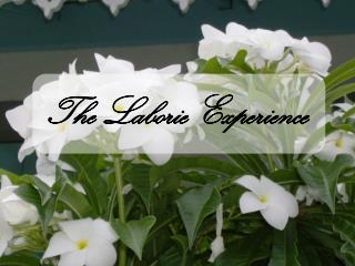 The Laborie Experience