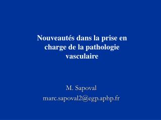 M. Sapoval marc.sapoval2@egp.aphp.fr