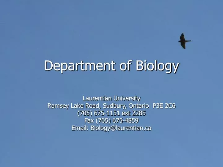 department of biology