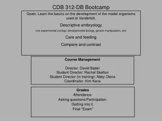CDB 312-DB Bootcamp