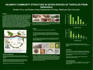 HELMINTH COMMUNITY STRUCTURE IN SEVEN SPECIES OF TADPOLES FROM NEBRASKA Heather Tracy and Matthew Bolek, Department of