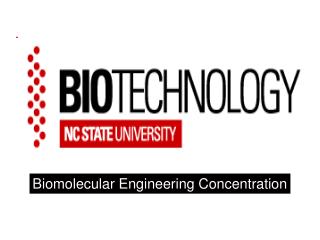 Biomolecular Engineering Concentration