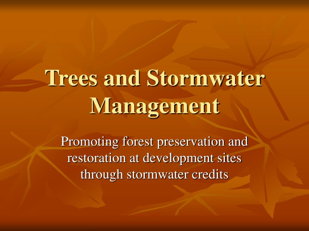 PPT - Trees and Stormwater Management PowerPoint Presentation, free ...