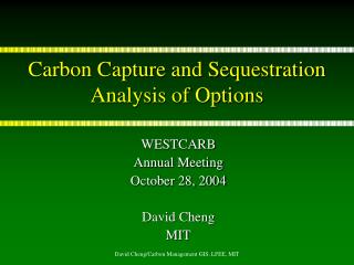 Carbon Capture and Sequestration Analysis of Options