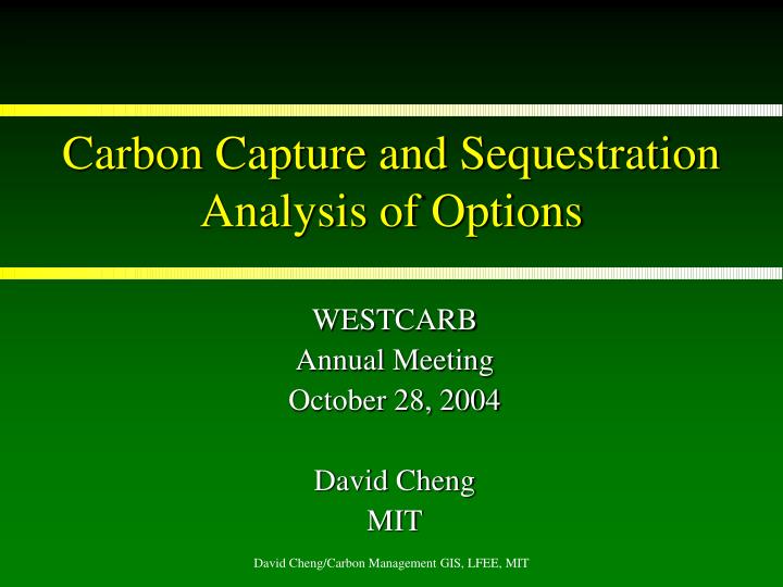 carbon capture and sequestration analysis of options