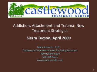 Addiction, Attachment and Trauma: New Treatment Strategies Sierra Tucson, April 2009