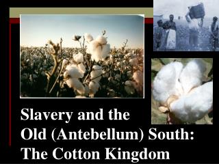 Slavery and the Old (Antebellum) South: The Cotton Kingdom