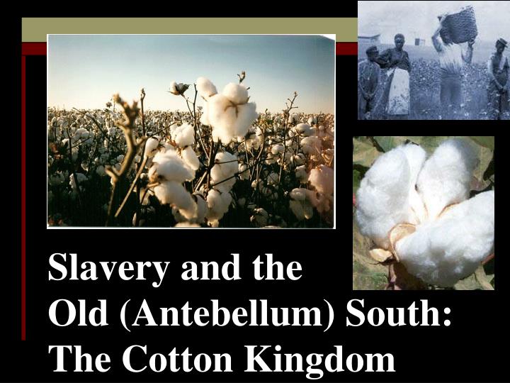 slavery and the old antebellum south the cotton kingdom