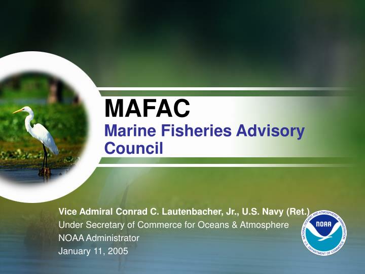 mafac marine fisheries advisory council